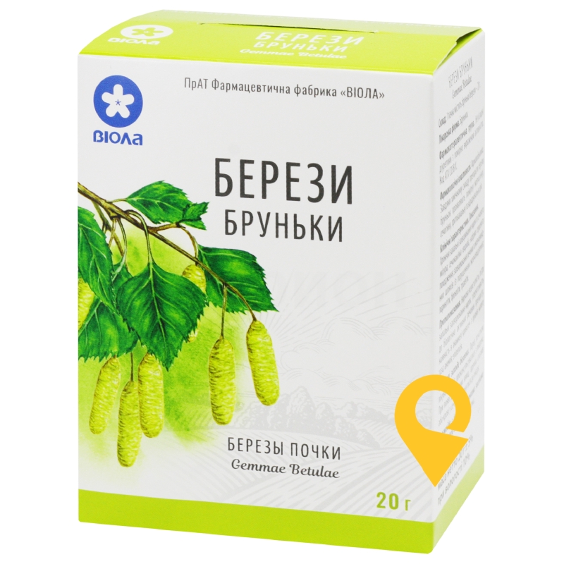 Берези бруньки бруньки 20.г Віола (Україна)