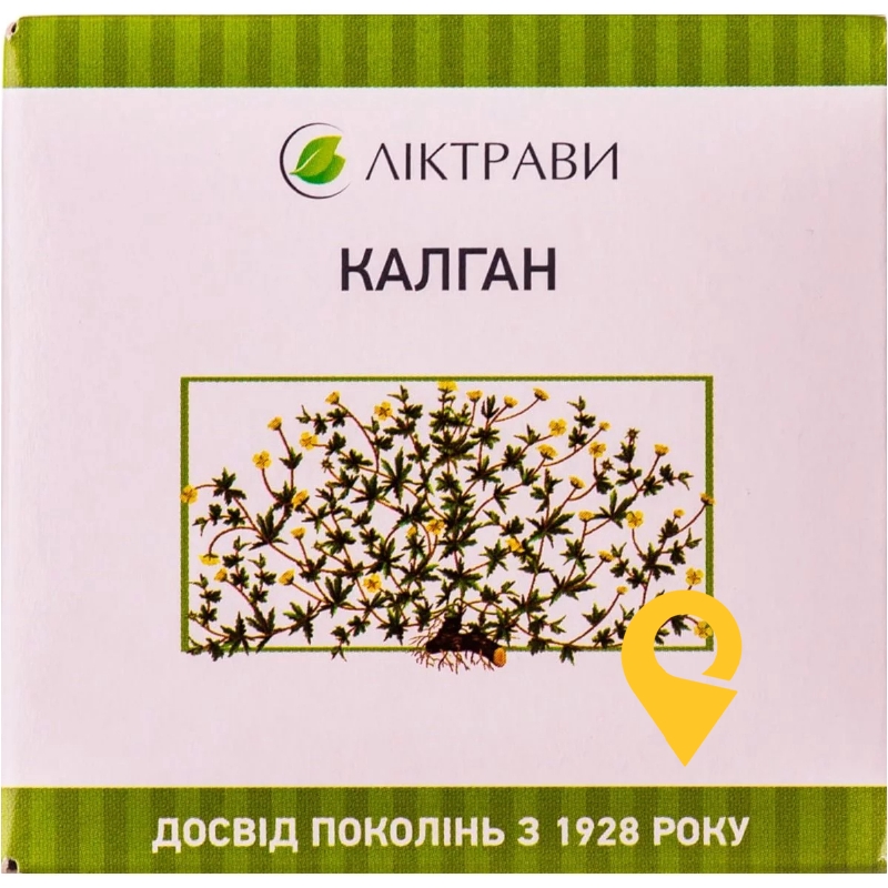 Калган, кореневища, пачка, №1