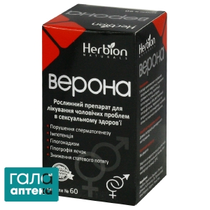 Верона