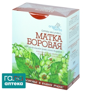 Борова матка