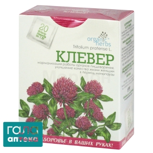 Клевер луговой